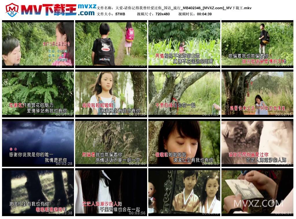 天爱-请你记得我曾经爱过你_国语_流行_MB402346